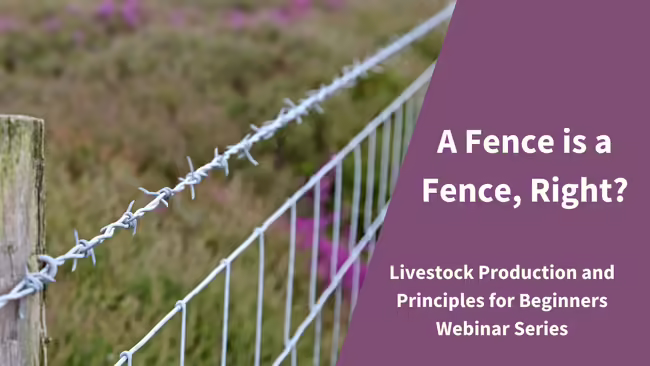a stretch of wire fence