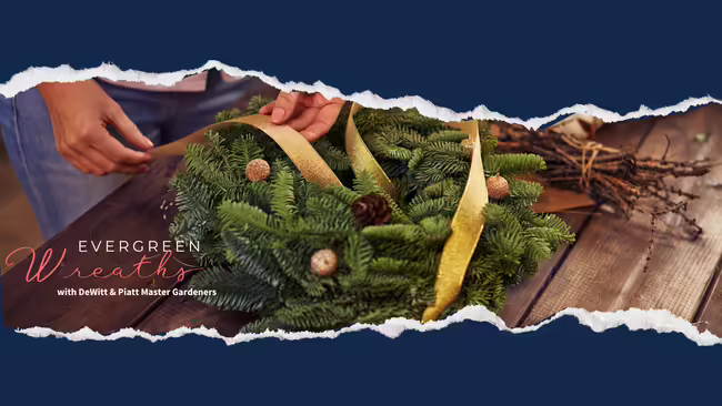 Evergreen Wreaths program wood table with wreath and ribbons