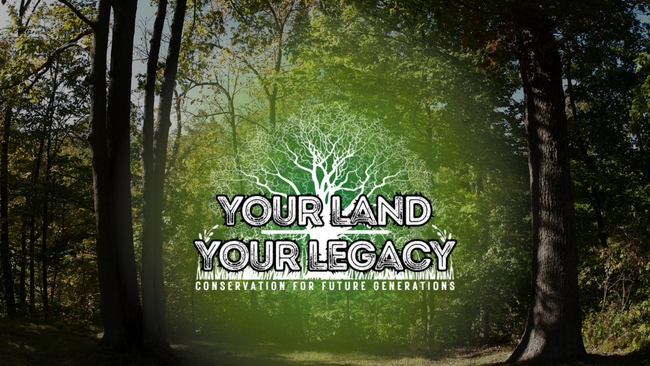 forest with "your land, your legacy" logo