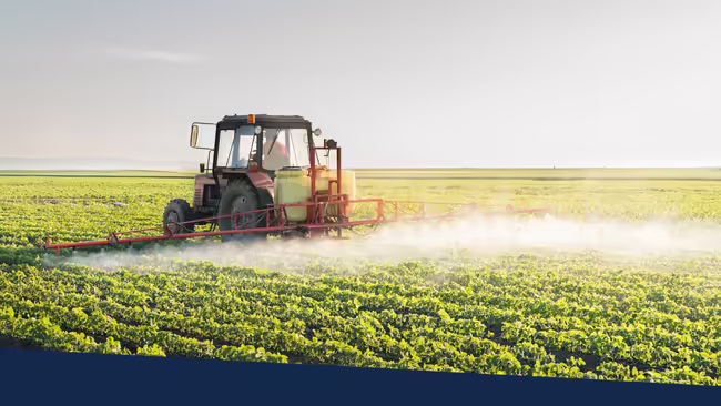 A tractor spraying in a soybean field.