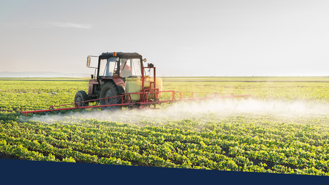 A tractor spraying in a soybean field.
