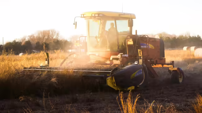 farmer harvesting crops