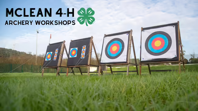 Archery Targets
