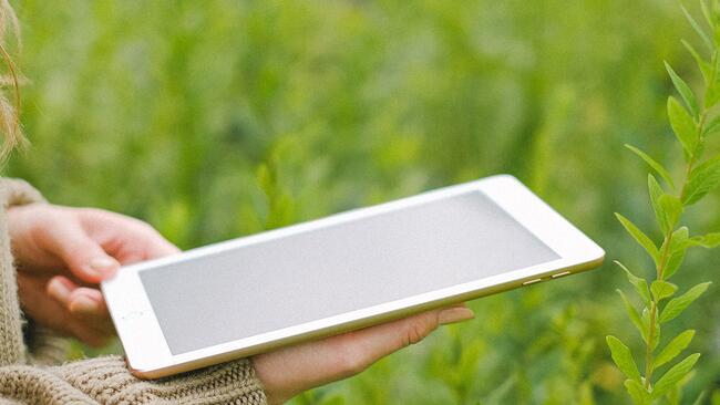 Person holding a tablet over a plant in a field