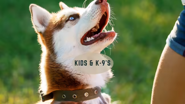 dog receiving a treat for good behavior from his master