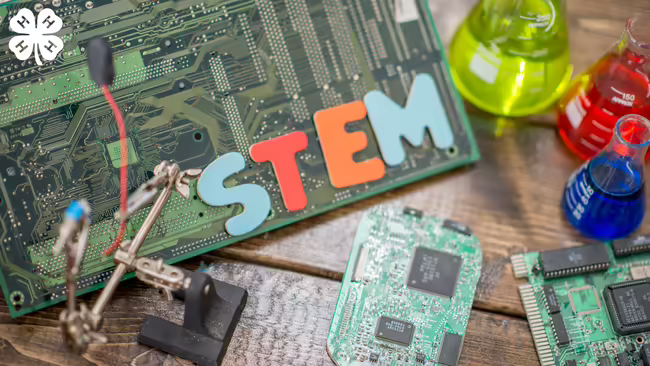 STEM image of a circuit board