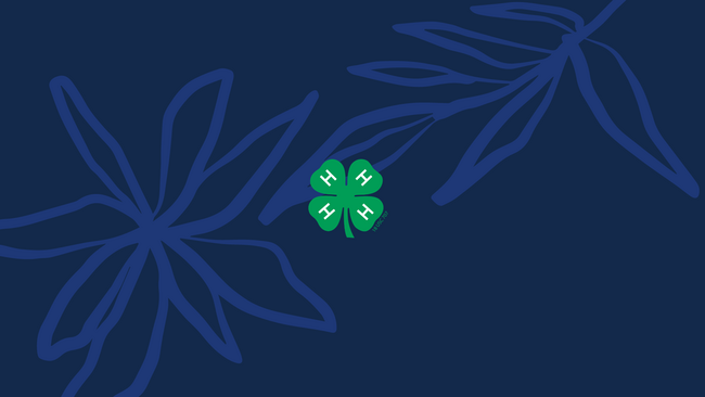 4-H clover with blue background