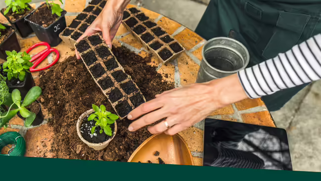 A person's hands putting soil into a brown plant tray with plants, soil, and garden tools surrounding the table.
