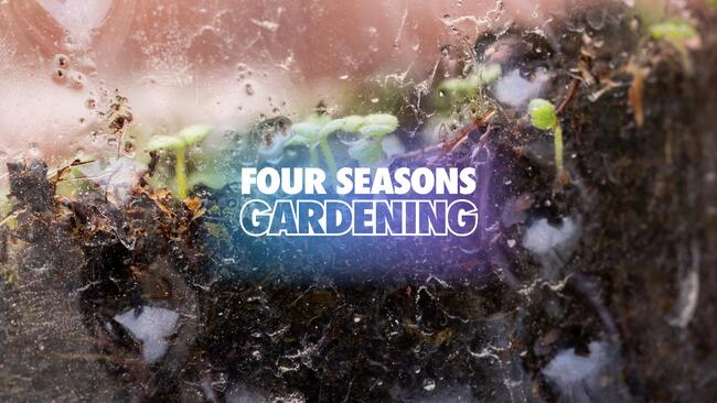 Four seasons gardening native seeds