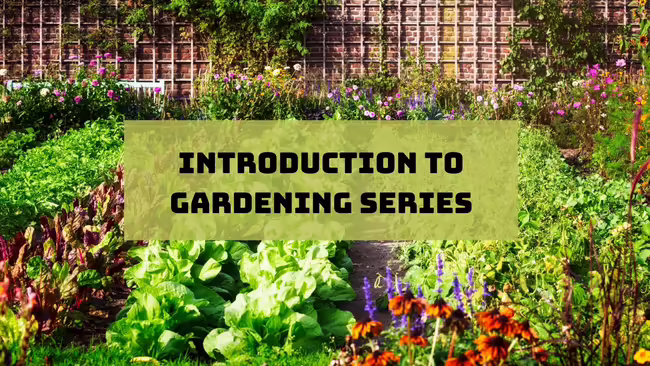vegetable garden with text introduction to gardening series
