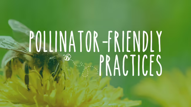 Pollinator-Friendly Practices
