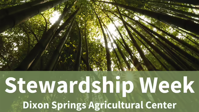stewardship week