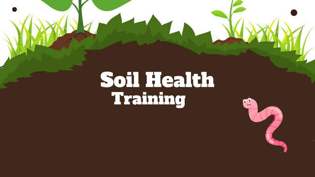 Soil Health Training with worm in ground