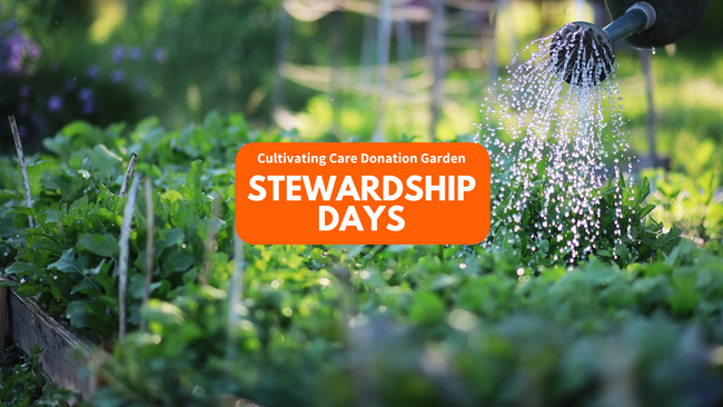 A watering can going over a garden with "Cultivating Care Donation Garden Stewardship Days" text over the top of it.