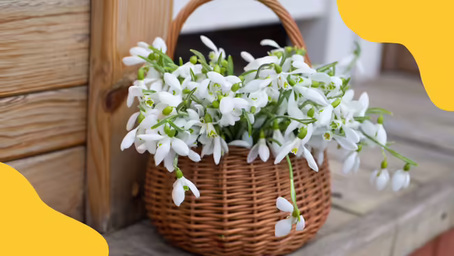 A basket filled with flowers.