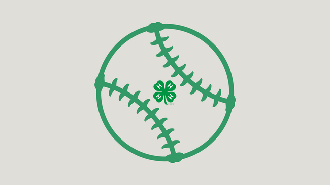 A baseball with the 4-H clover logo in it. 