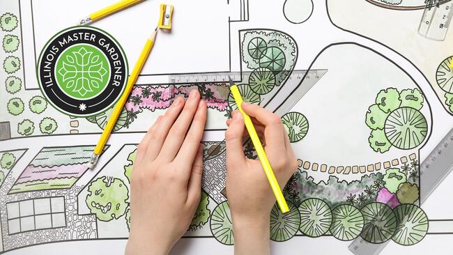 hands drawing a garden design with pencil and ruler