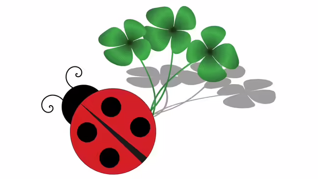 lady bug with clover