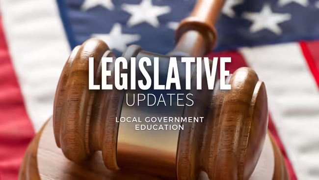 Local Government Education graphic