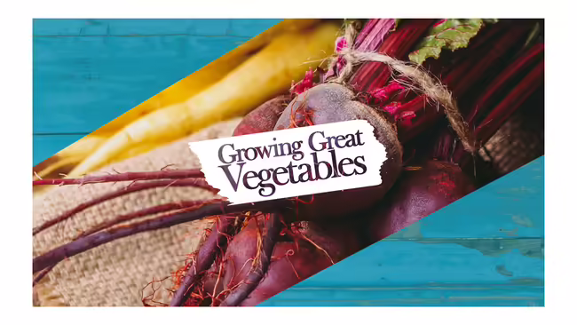 Multiple colored vegetables
