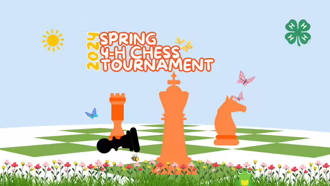 2024 4-H Chess Tournament Pawns on a chess board with butterflies