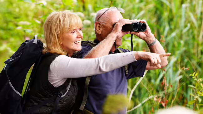 Couple watching nature