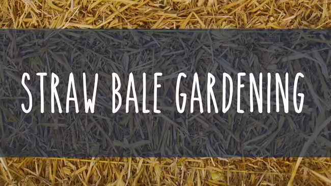 close up of a straw bale