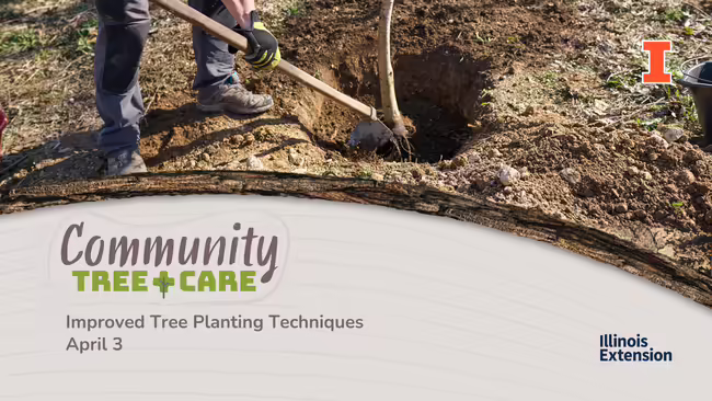 Person with shovel digging in dirt to plant tree