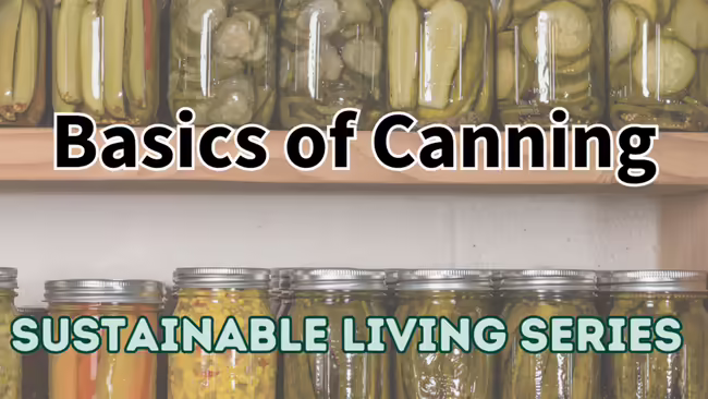 canned vegetables