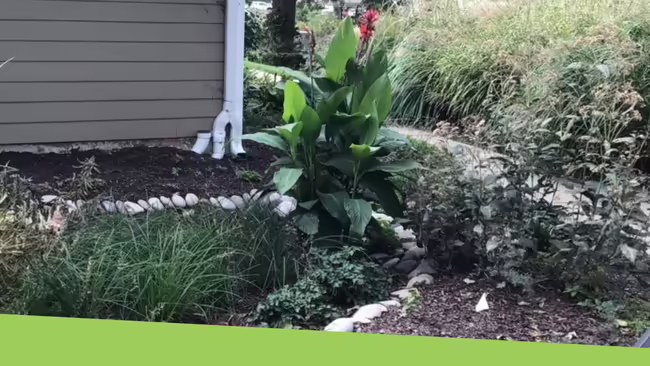 A landscape of a yard showing how to design your landscaping to manage rain and drainage.