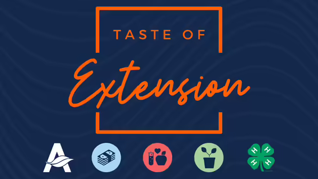 Text reads Taste of Extension in orange on a navy background.