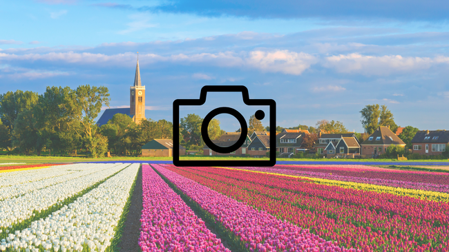  A spring scene full of flowers and a camera graphic in the middle. 