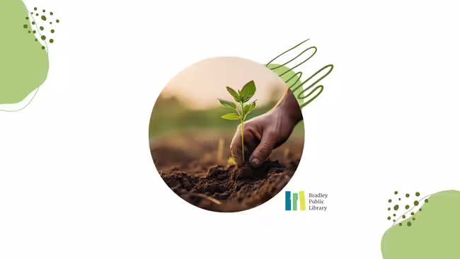 hand planting seedling