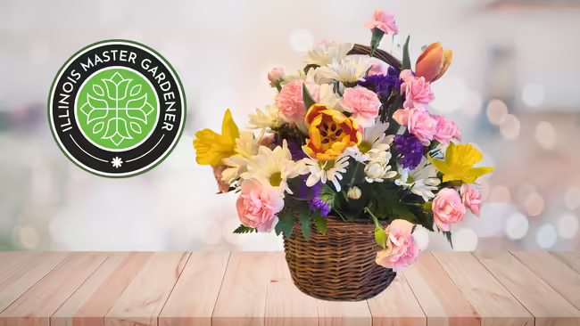 spring flowers in basket