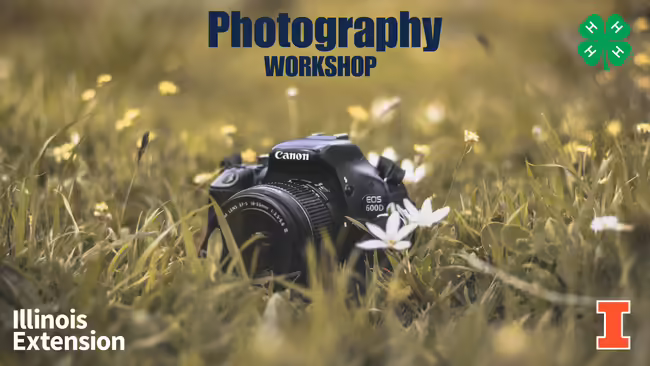 camera sitting on green grass with white and yellow wildflowers