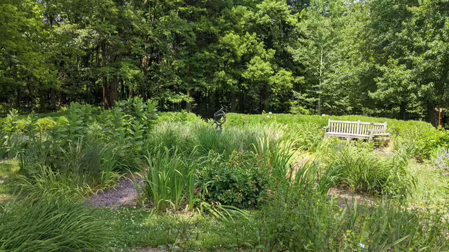 The SIUE Gardens