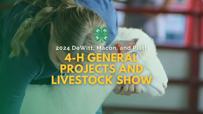 2024 DeWitt, Macon, and Piatt 4-H General Projects and Livestock Show, girl with sheep pictured