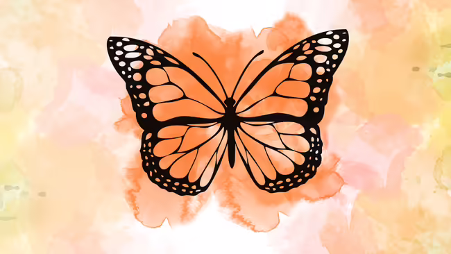 Butterfly Festival