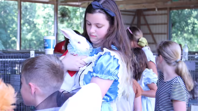 Youth with Bunny