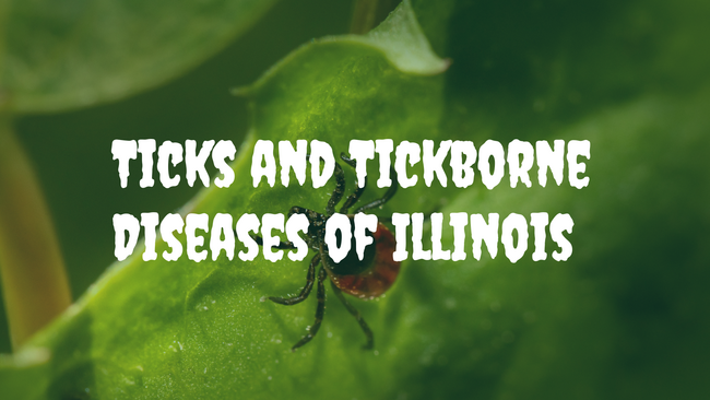Ticks and Tickborne Diseases of Illinois