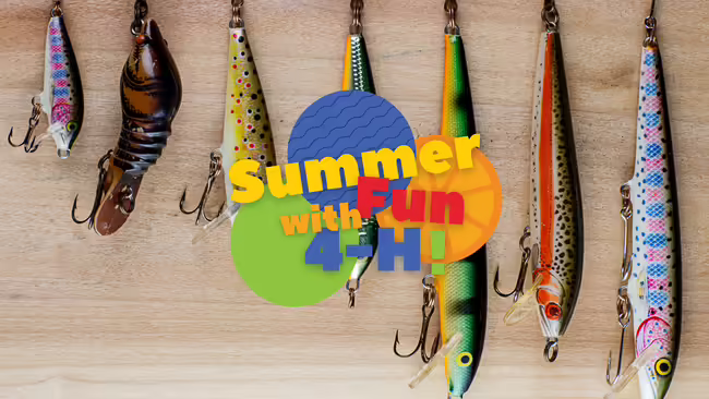 7 different fishing lures