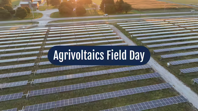 Drone photo above a Midwest field filled with solar panels.