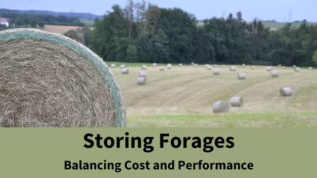 round bales in field