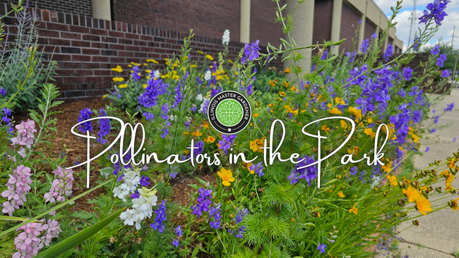 Pollinators in the park, colorful pollinator garden in front of a building pictured