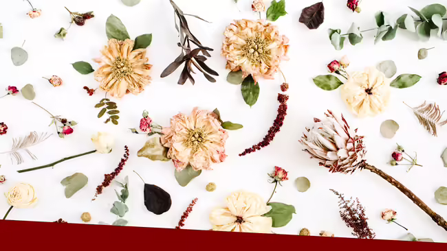Dried flowers texture pattern: beige peony, protea, eucalyptus branches, roses on white background. Flat lay, Lop view.