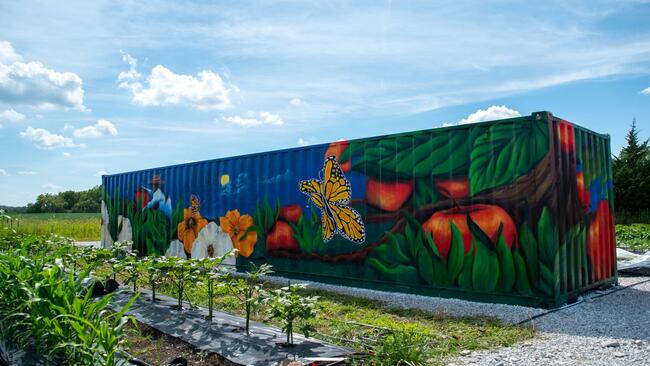 Colorful painted Shipping container behind rows of vegetables growing at a farm