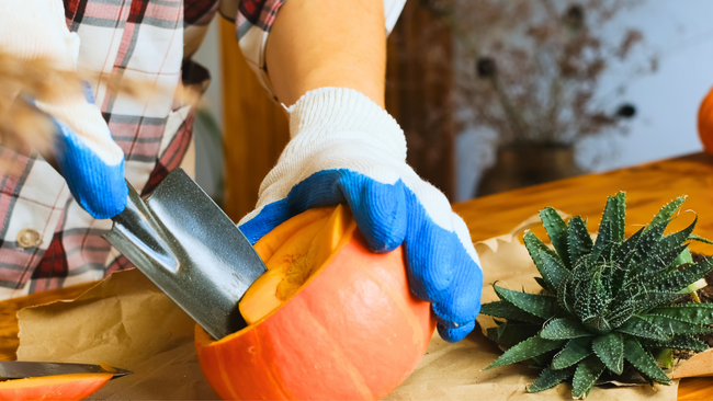 making a pumpkin centerpiece