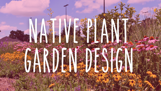 Native Plant Garden Design