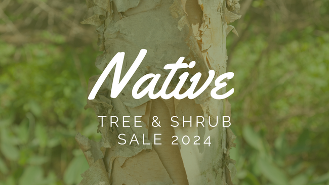 Native Tree & Shrub Sale 2024