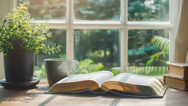 Photo of a plant and books in front of a window